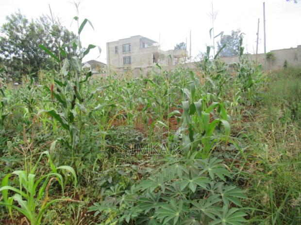 0.5-Acre Plot for Sale in Mushroom Gardens - thumbnail 9