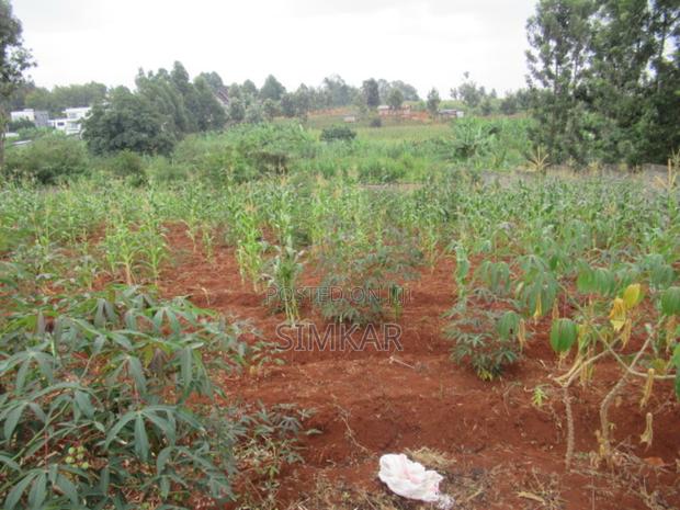 0.5-Acre Plot for Sale in Mushroom Gardens - thumbnail 10