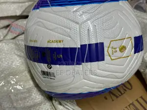 Champion Soccer Balls,Quality Football Balls