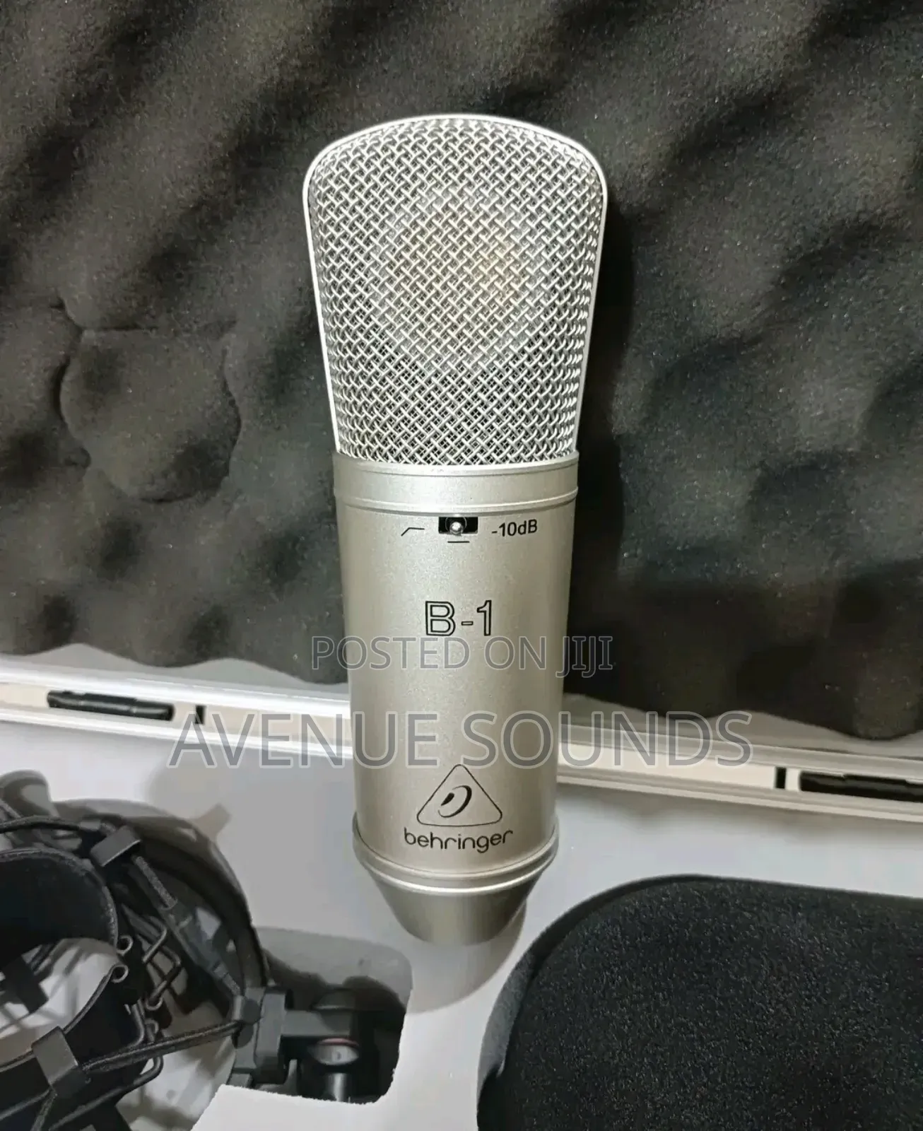 B1 Pro Condenser Microphone