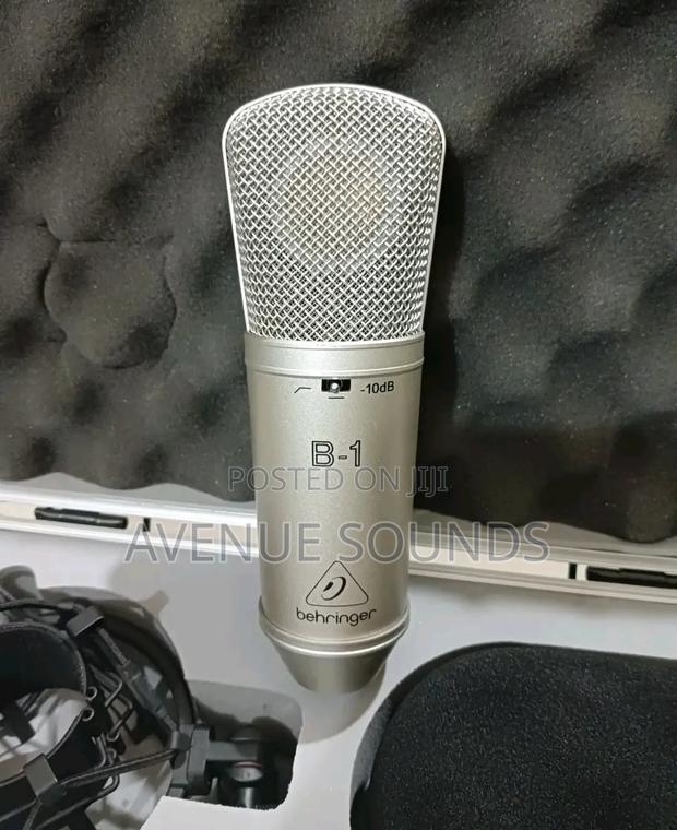 B1 Pro Condenser Microphone