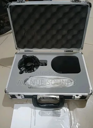 B1 Pro Condenser Microphone