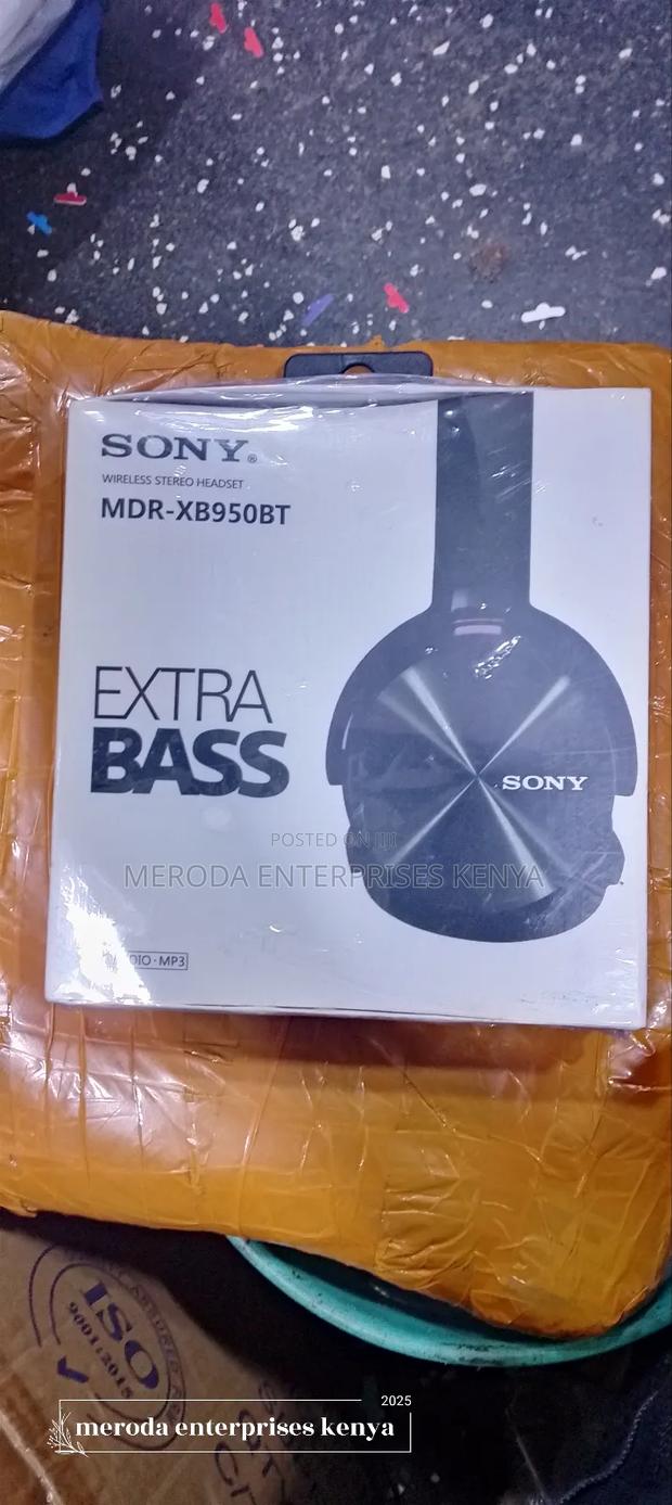 Sony Wireless Headset - main view