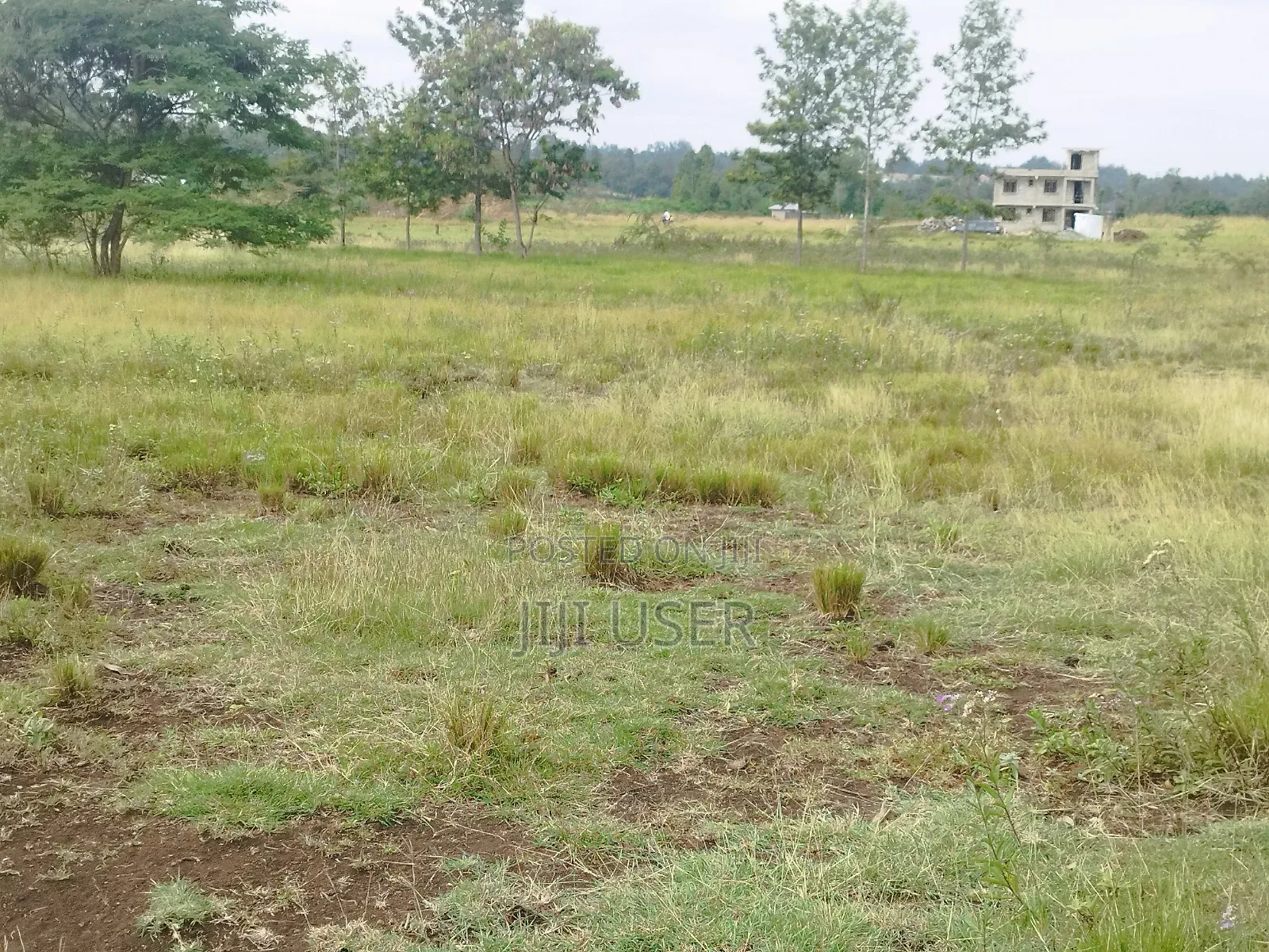 Prime Commercial 8acres in Kirinyaga,Sagana 500m Off H/Way