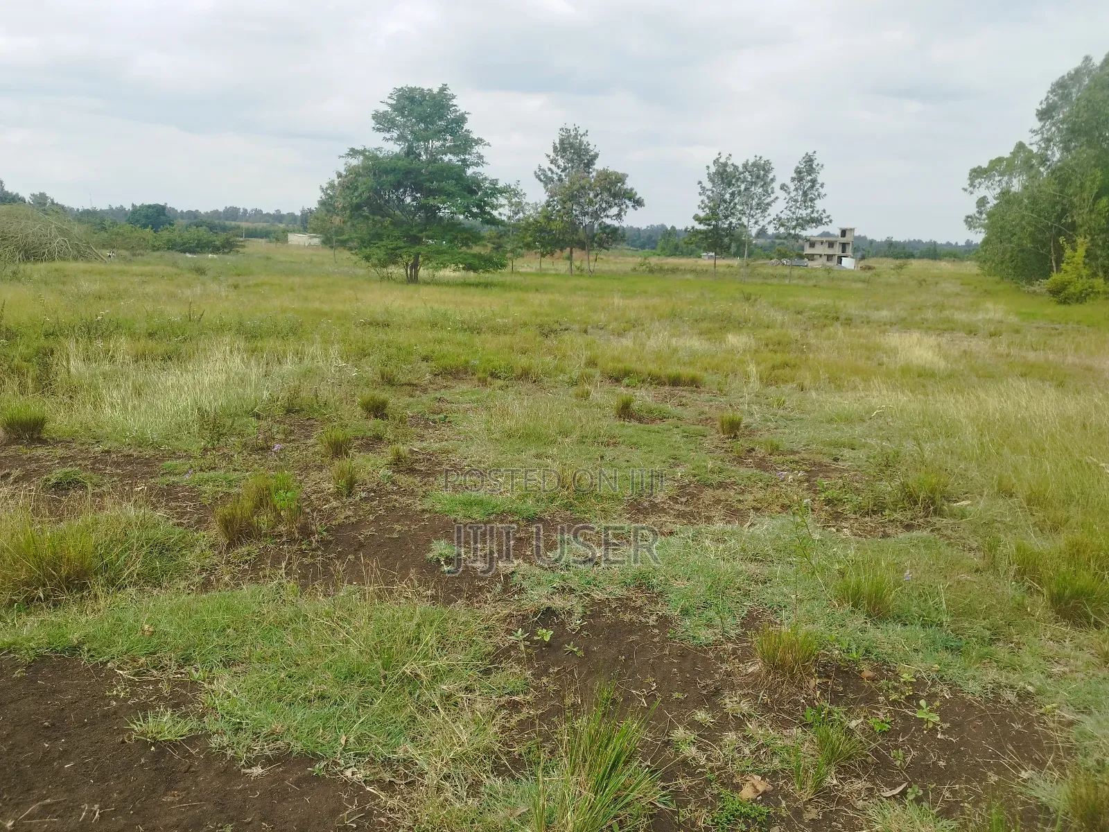 Prime Commercial 8acres in Kirinyaga,Sagana 500m Off H/Way