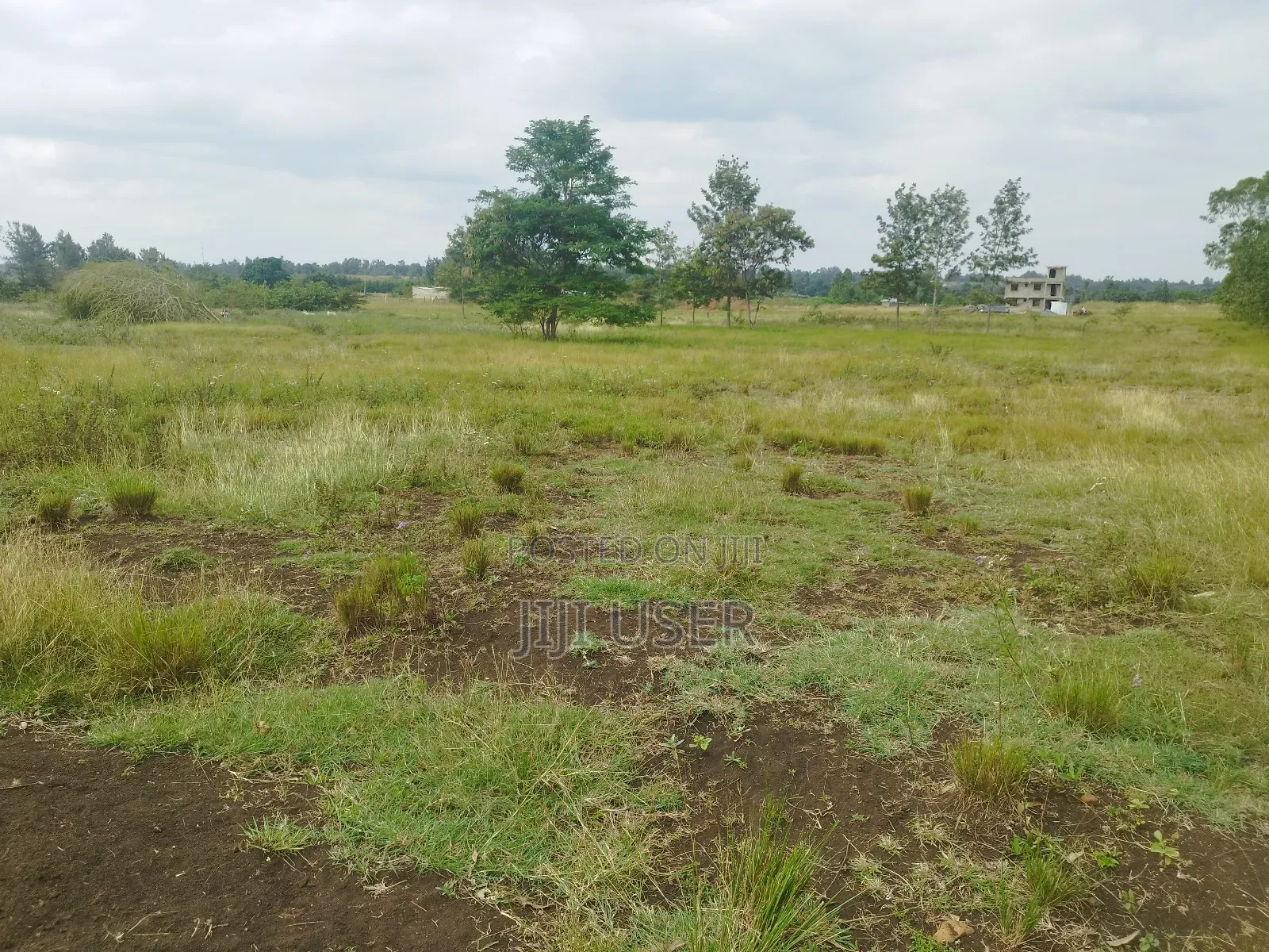 Prime Commercial 8acres in Kirinyaga,Sagana 500m Off H/Way