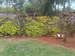 1⁄4residential Plot for Sale in Syokimau