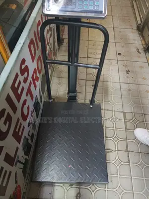 Commercial Standard 300kg Weighing Scale With Guard Small B