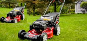 Effortless Lawn Mover - thumbnail 2