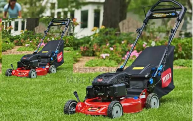 Grass Lawn Mower - main view