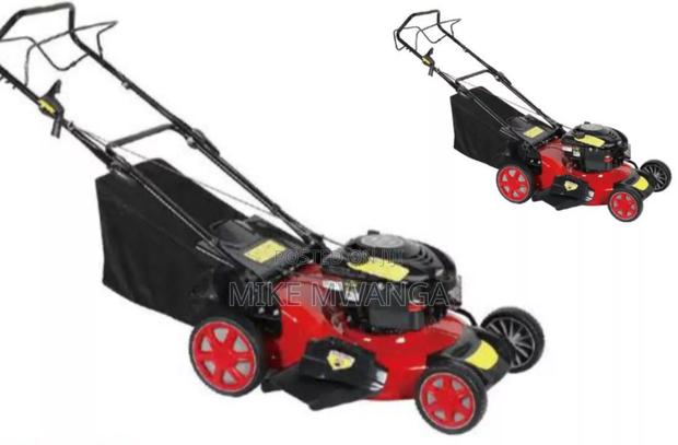 Residence Lawn Mower Machine/Grass - main view