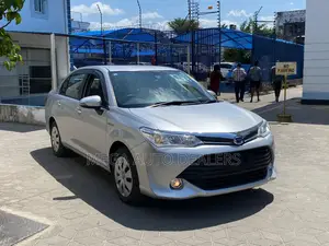 Toyota Axio 2018 Gray