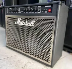 Marshall Electric Guitar Combo Speaker