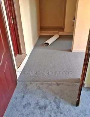 Stylish Room Wall to Wall Carpet Custom Sizes Available
