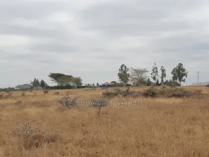 Prime 1/8th Acre Affordable Plots in Isinya