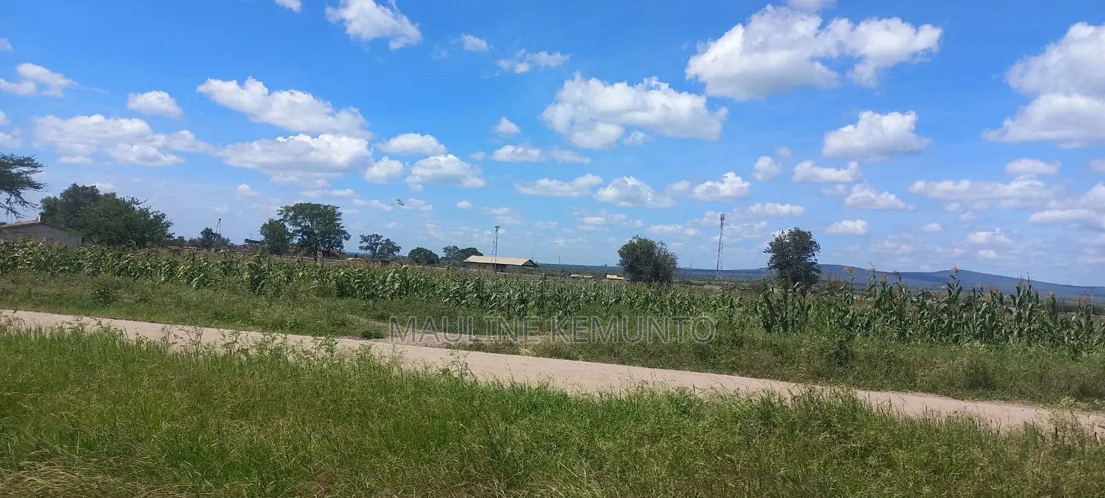 Affordable Plots In Konza City