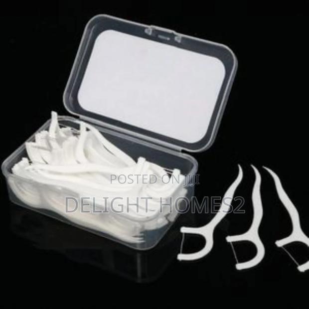 Dental Floss Toothpick_esj