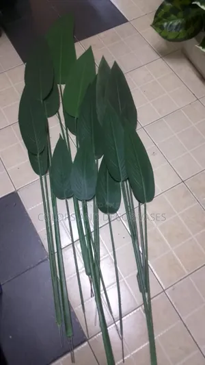 Banana Plants Beautiful Room Decor