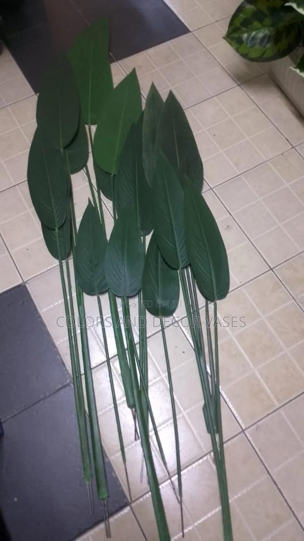 Banana Plants Beautiful Room Decor - main view