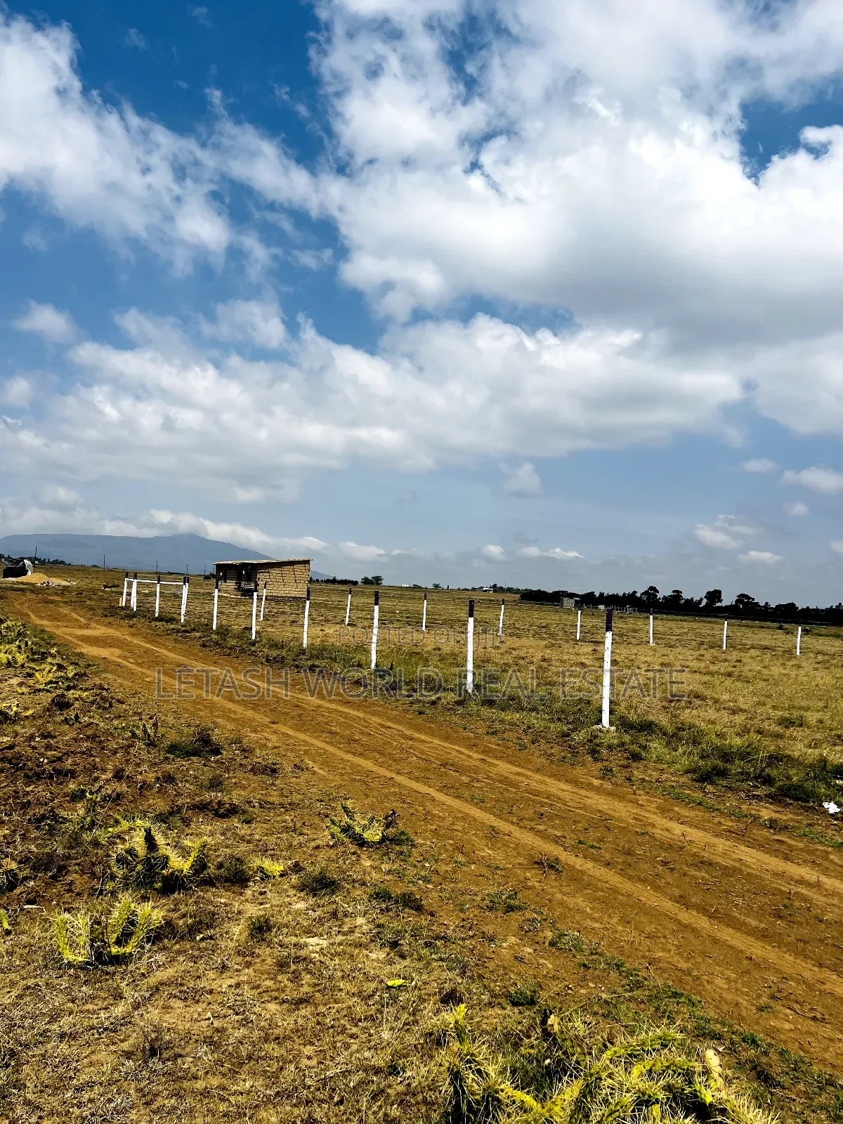Good Views for a Good Price, , Along Maimahiu Highway