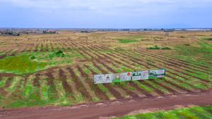 Juja Groove Plots for Sale - thumbnail 2