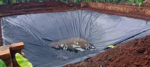 1mm Dam Liner More Durability and Costs a Bit More. - thumbnail 2