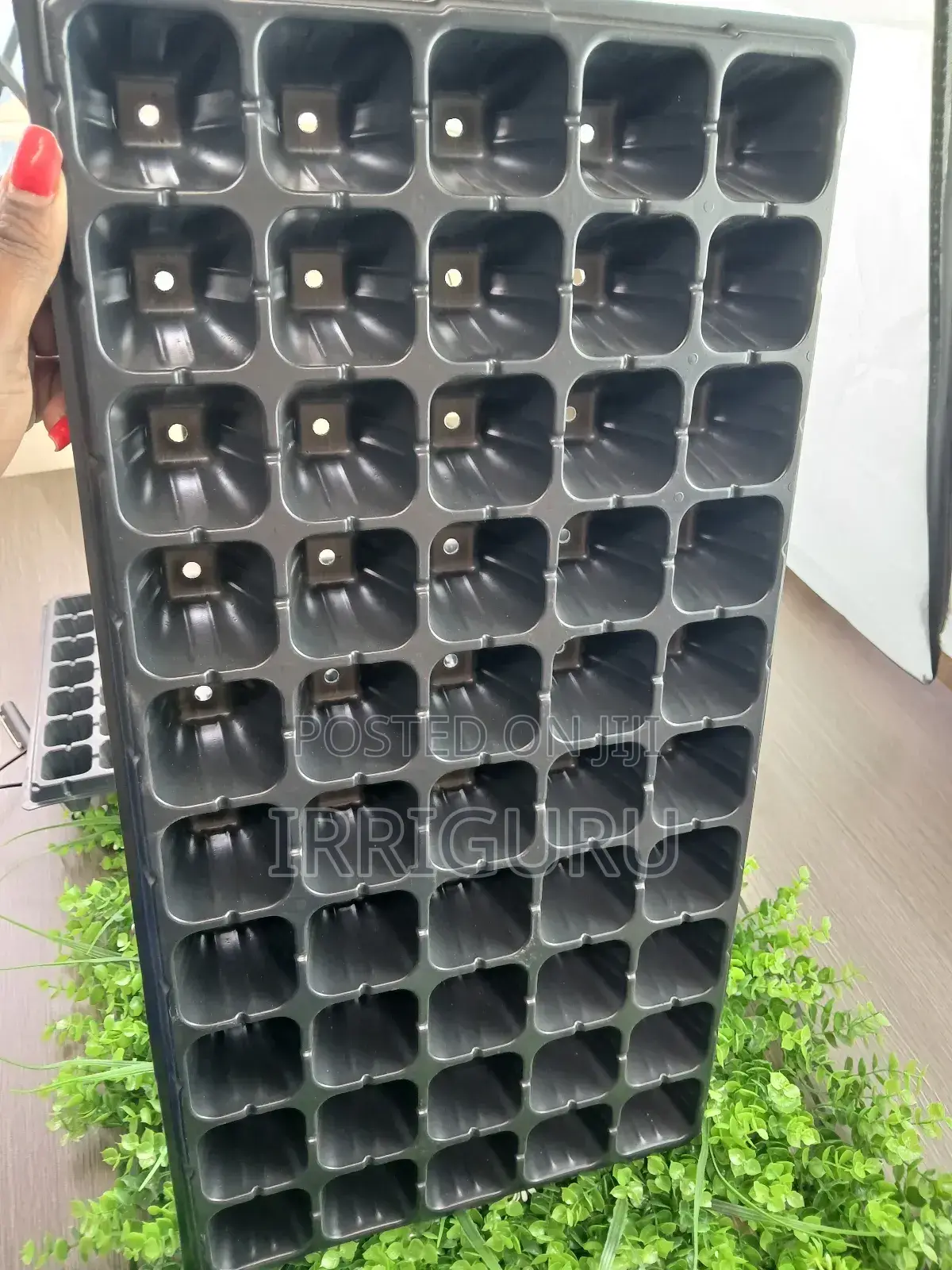 Seed Trays 50holes