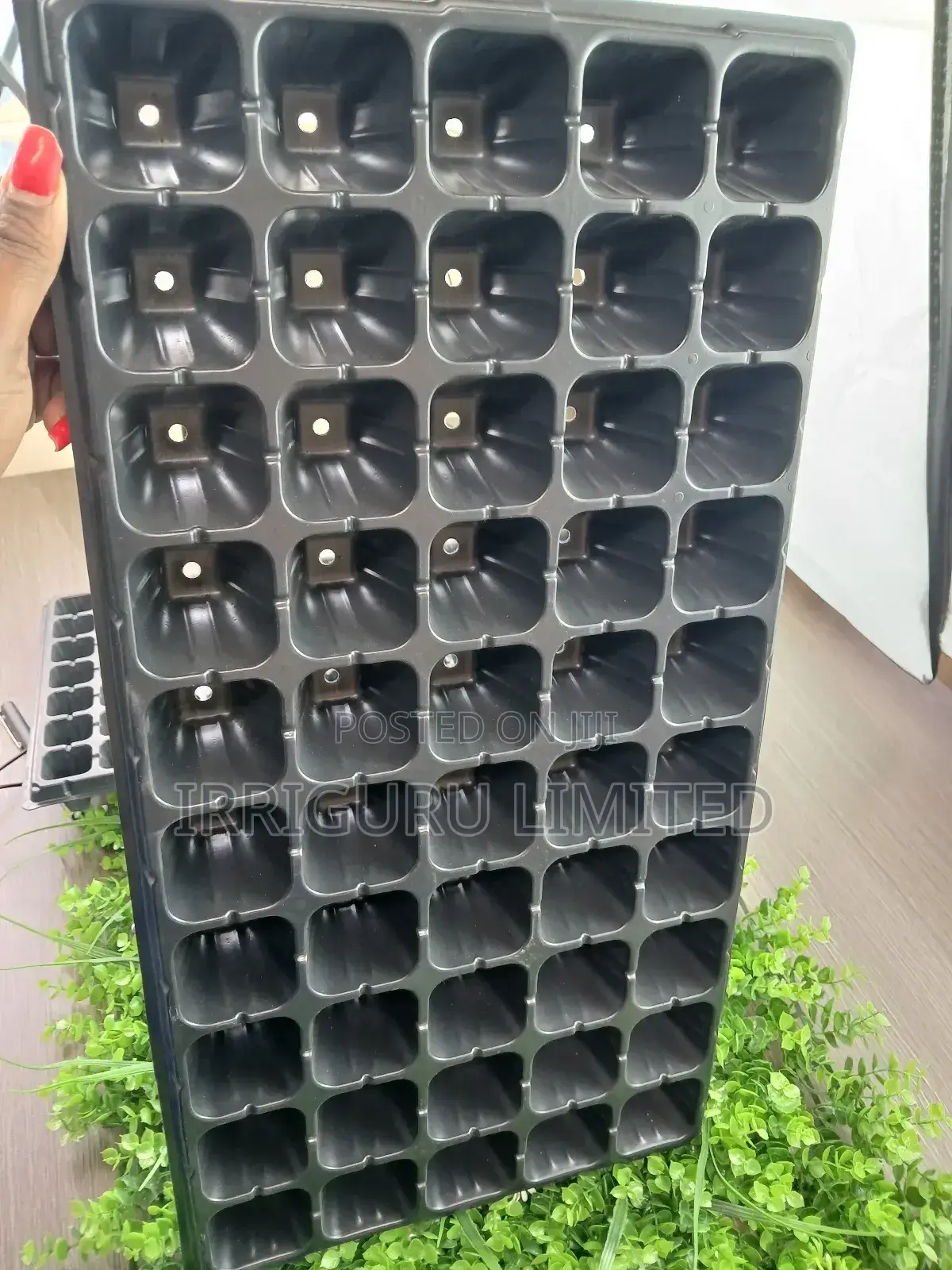 Seed Trays 50holes