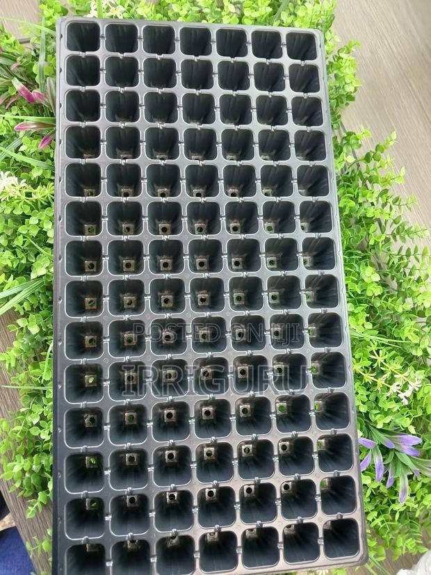 Seed Planting