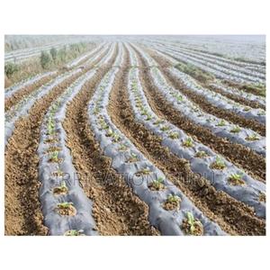 Biodegradable Sheet - thumbnail 2