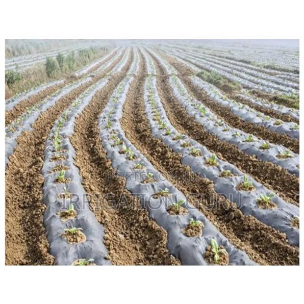 Biodegradable Sheet - main view