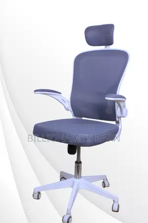 Executive High Back Ergonomic Orthopedic Seat Office Chair