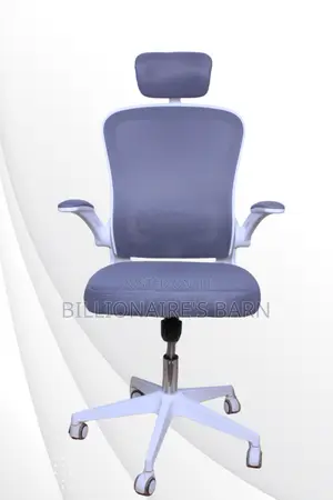 Executive High Back Ergonomic Orthopedic Seat Office Chair