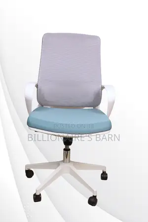 Orthopedic High Back Executive Swivel Office Seat