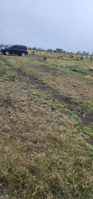 Kamakis Gikumari Bypass
