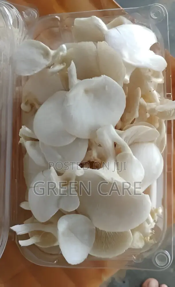 Mushroom Cultivation Training