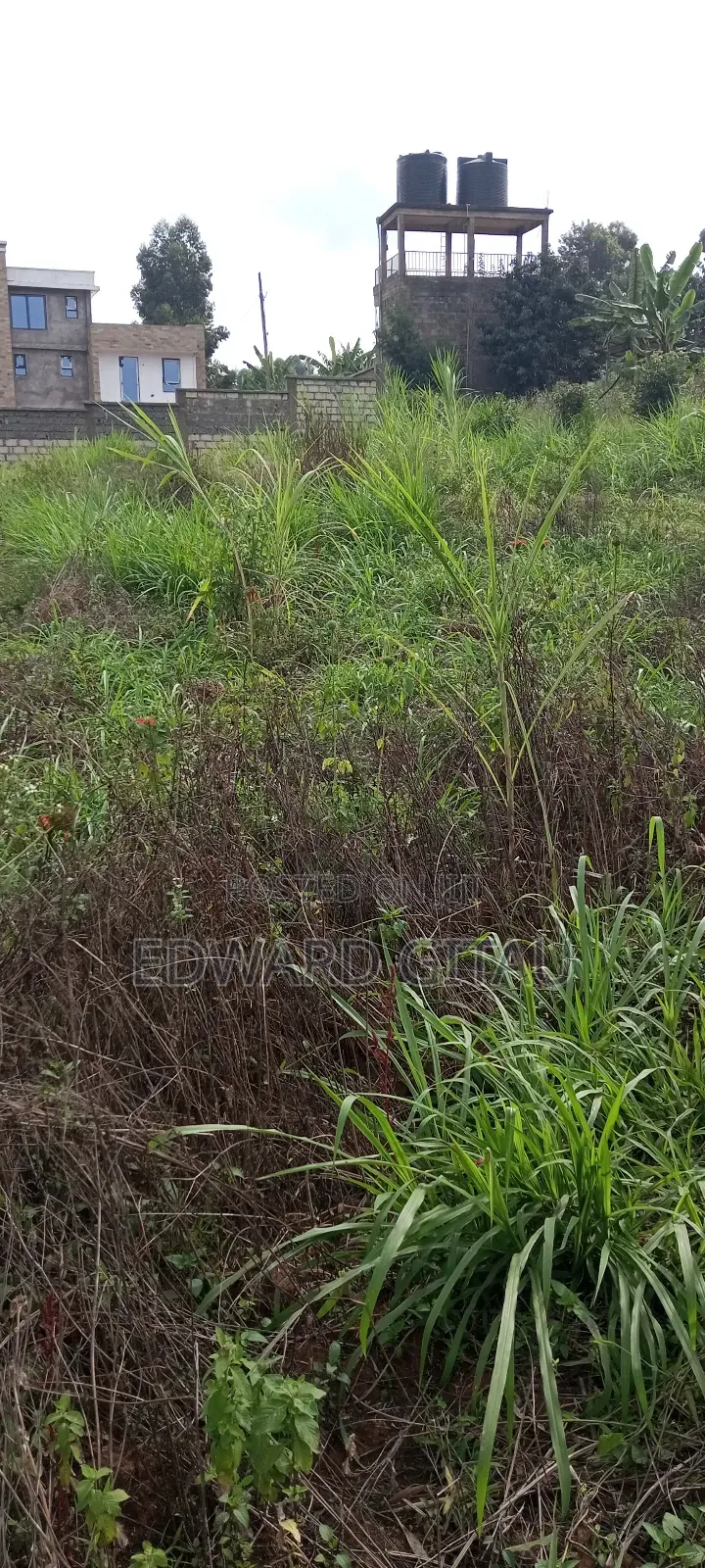 100x100 Plot for Sale