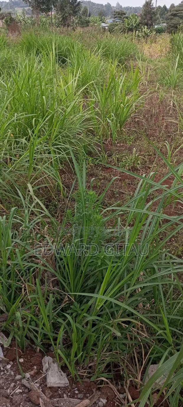 100x100 Plot for Sale - thumbnail 2