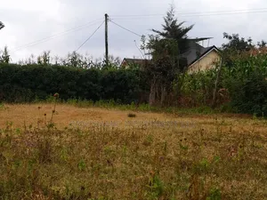 100by100 Plot for Sale in Mai-Ahii Gikambura Kikuyu Kiambu.