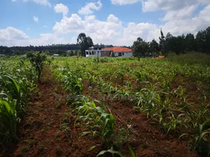 50x100 in Kamangu Kikuyu Kiambu for Sale.