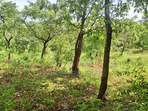 Land on Sale- 3 Acres