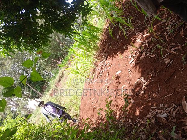 Land on Sale- 3 Acres