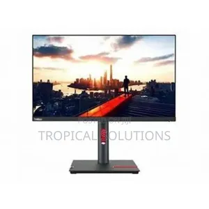 Lenovo Think Vision P25i-30 24.5" FHD Monitor// Lenovo