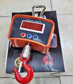 High Precision Strain Gauge/500kgs Crane Scale