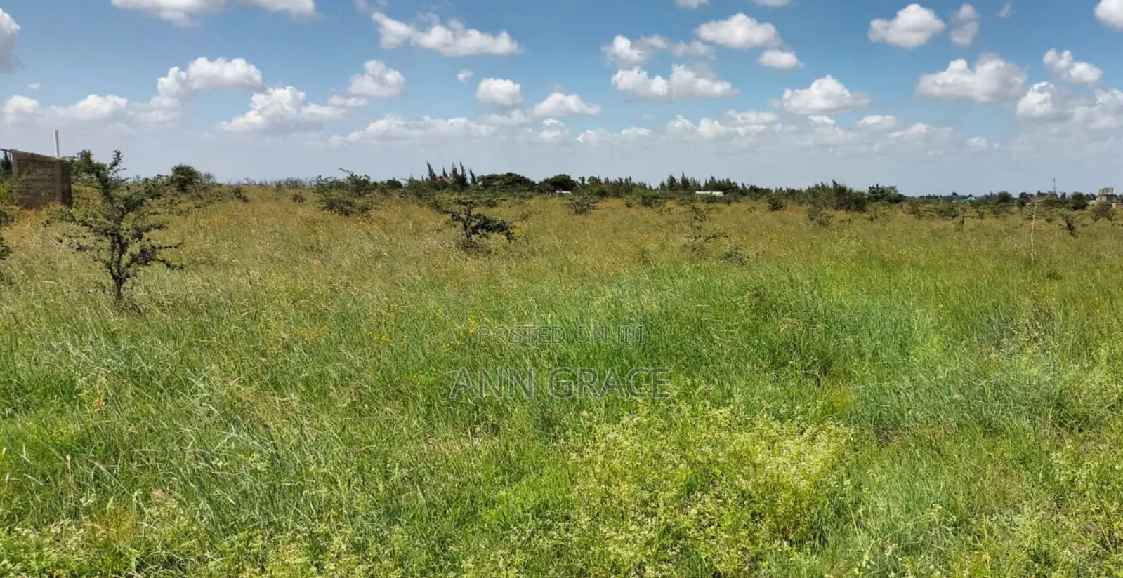 2 and 1/4 Acres for Sale