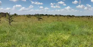 2 and 1/4 Acres for Sale