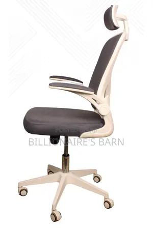 Executive Ergonomic Mesh Office Chair White in Color