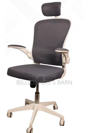 Executive Ergonomic Mesh Office Chair White in Color