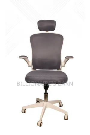 Executive Ergonomic Mesh Office Chair White in Color