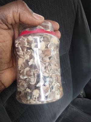 Moringa Oleifera Seeds Available for Sale. Price Is Per Kg